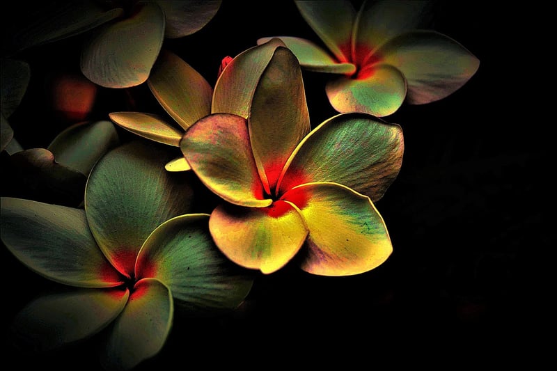 Abstract art